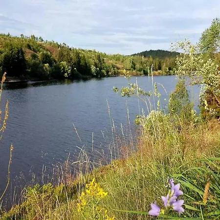 In The Harz Mountains With Terrace Ferienhaus *